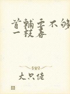 首辅要不够po一枝春