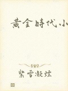 黄金时代小说