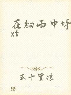 在细雨中呼喊txt