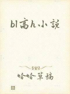 bl高h小说