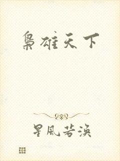 枭雄天下