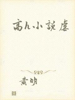 高h小说虐封面