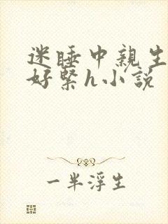 迷睡中亲生乖女好紧h小说封面