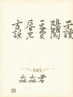 方辰天阳子的小说免费阅读封面