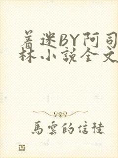 着迷BY阿司匹林小说全文免费阅读