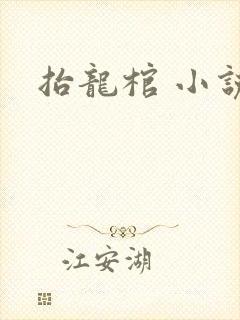 抬龙棺 小说
