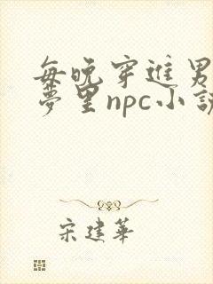 每晚穿进男神的梦里npc小说