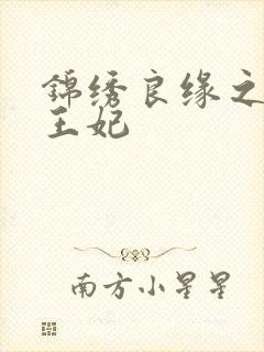 锦绣良缘之北地王妃