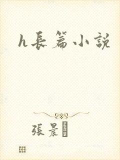 h长篇小说