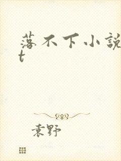 落不下小说txt