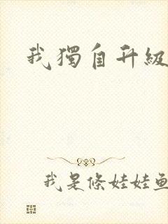我独自升级