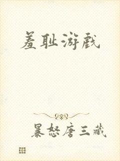 羞耻游戏封面