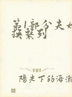 第1部分夫妇交换系列封面