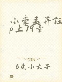 小豪孟卉钰慧三p上79章