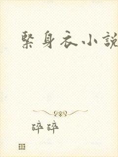 紧身衣小说