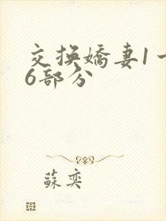 交换娇妻1一36部分