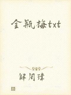 金瓶梅txt封面