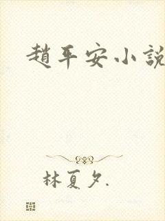 赵平安小说主角