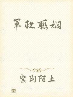 军政联姻