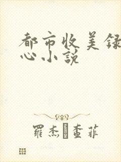 都市收美录宁素心小说