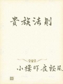 贵族法则封面
