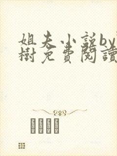 姐夫小说by野树免费阅读全文封面