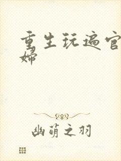 重生玩遍官场贵妇