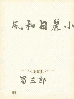 风和日丽小说