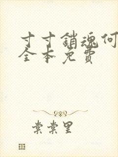 寸寸销魂何生祥全本免费