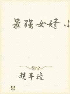 最强女婿 小说