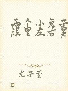 两个小兔子在衣服里左右晃