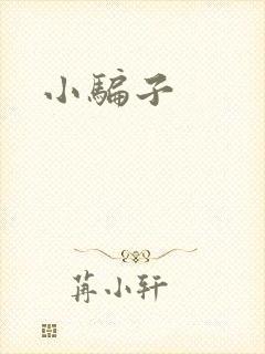 小骗子