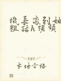 机长脔到她哭h粗话h视频
