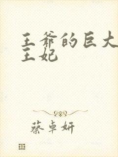 王爷的巨大进入王妃封面