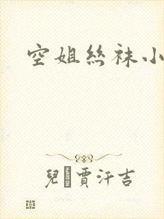 空姐丝袜小说