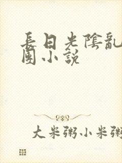 长日光阴乱作一团小说