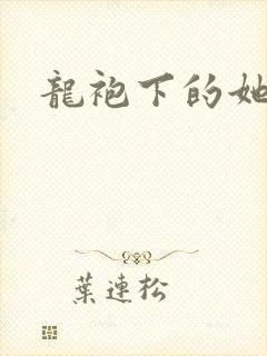 龙袍下的她封面