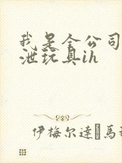 我是全公司的发泄玩具ih