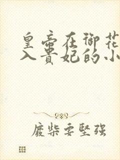 皇帝在御花园进入贵妃的小说