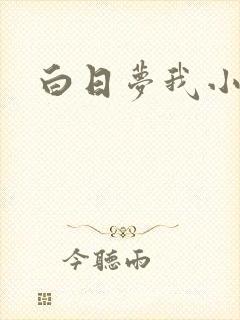 白日梦我小说封面