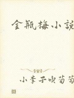 金瓶梅小说在线