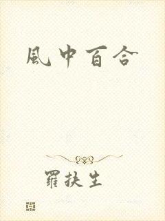 风中百合封面