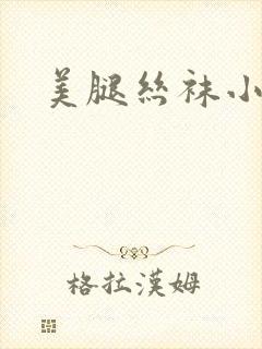 美腿丝袜小说