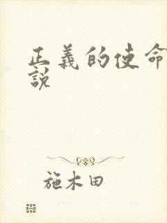 正义的使命 小说
