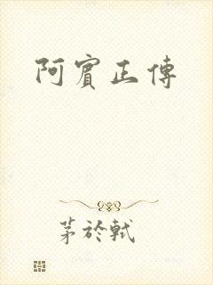阿宾正传封面