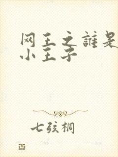 网王之谁是我的小王子