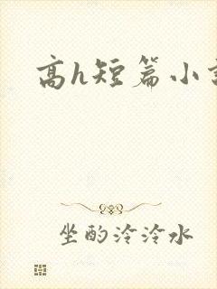 高h短篇小说