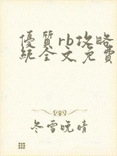 优质rb攻略系统全文免费阅读