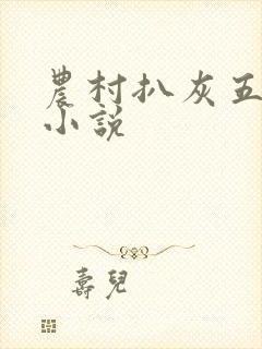 农村扒灰五十篇小说封面