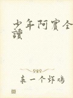 少年阿宾全集阅读封面